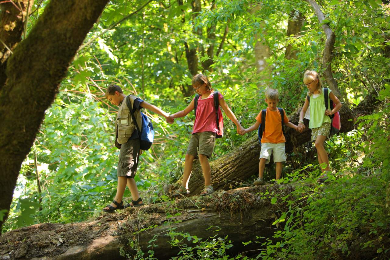 Campamentos de verano en 2021 Aventurarte. ¿Son recomendables?