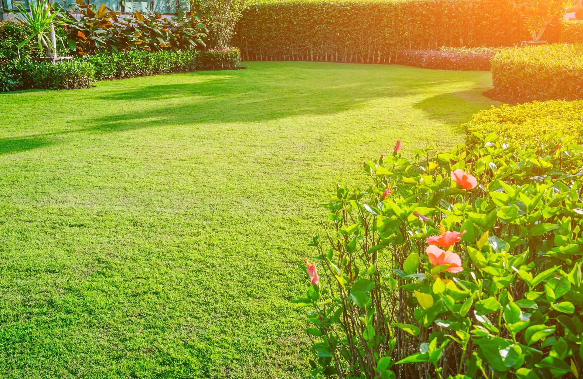 Cortacésped automático: la flexibilidad de Robotic Mowers