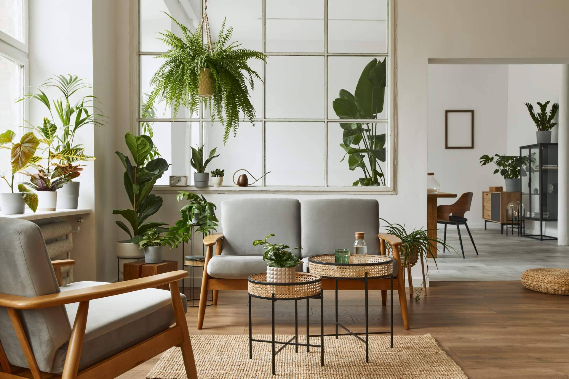 Recomendaciones para la decoración de salas con encanto