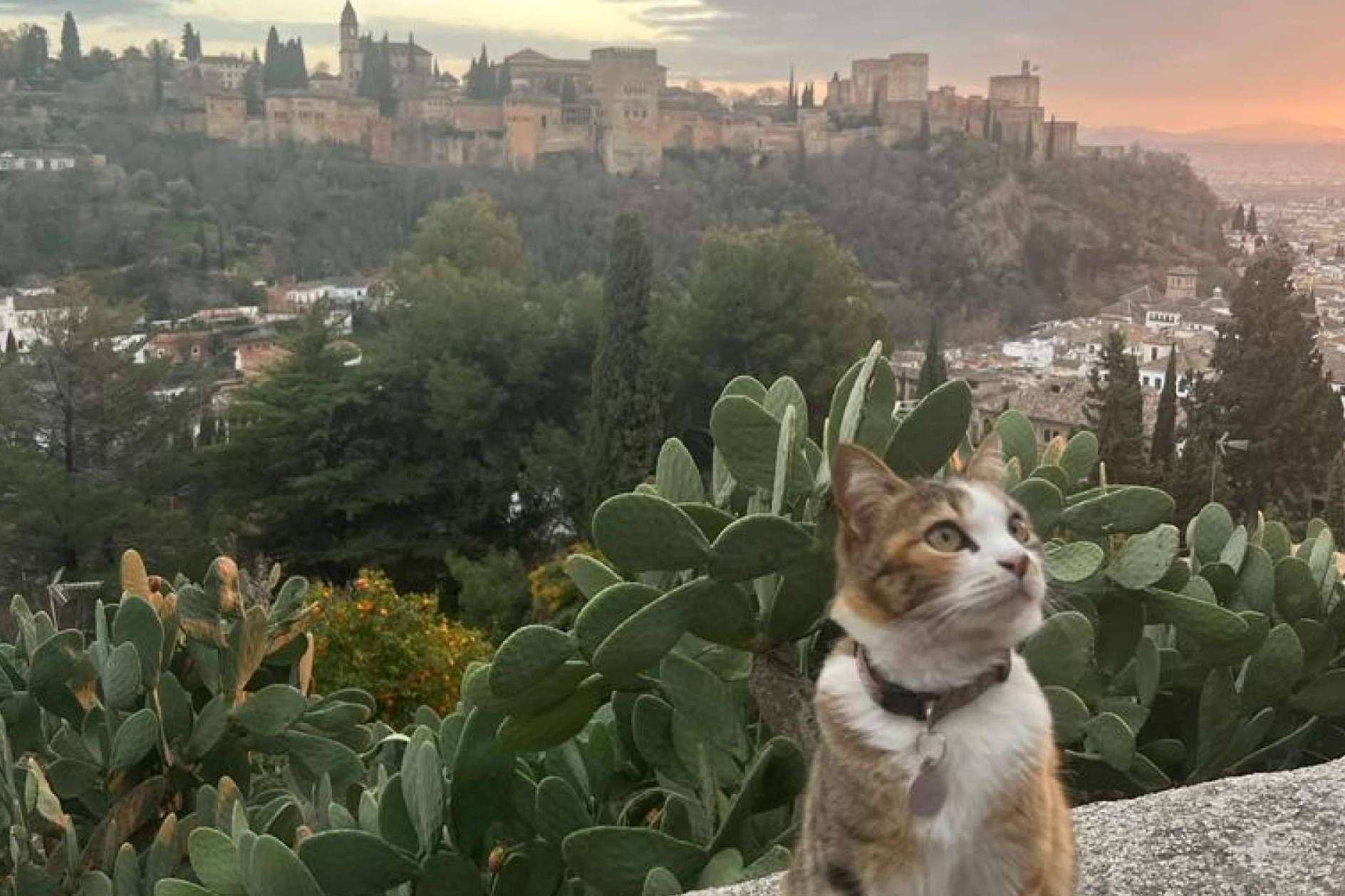 Turismo en Granada, los lugares que se deben visitar