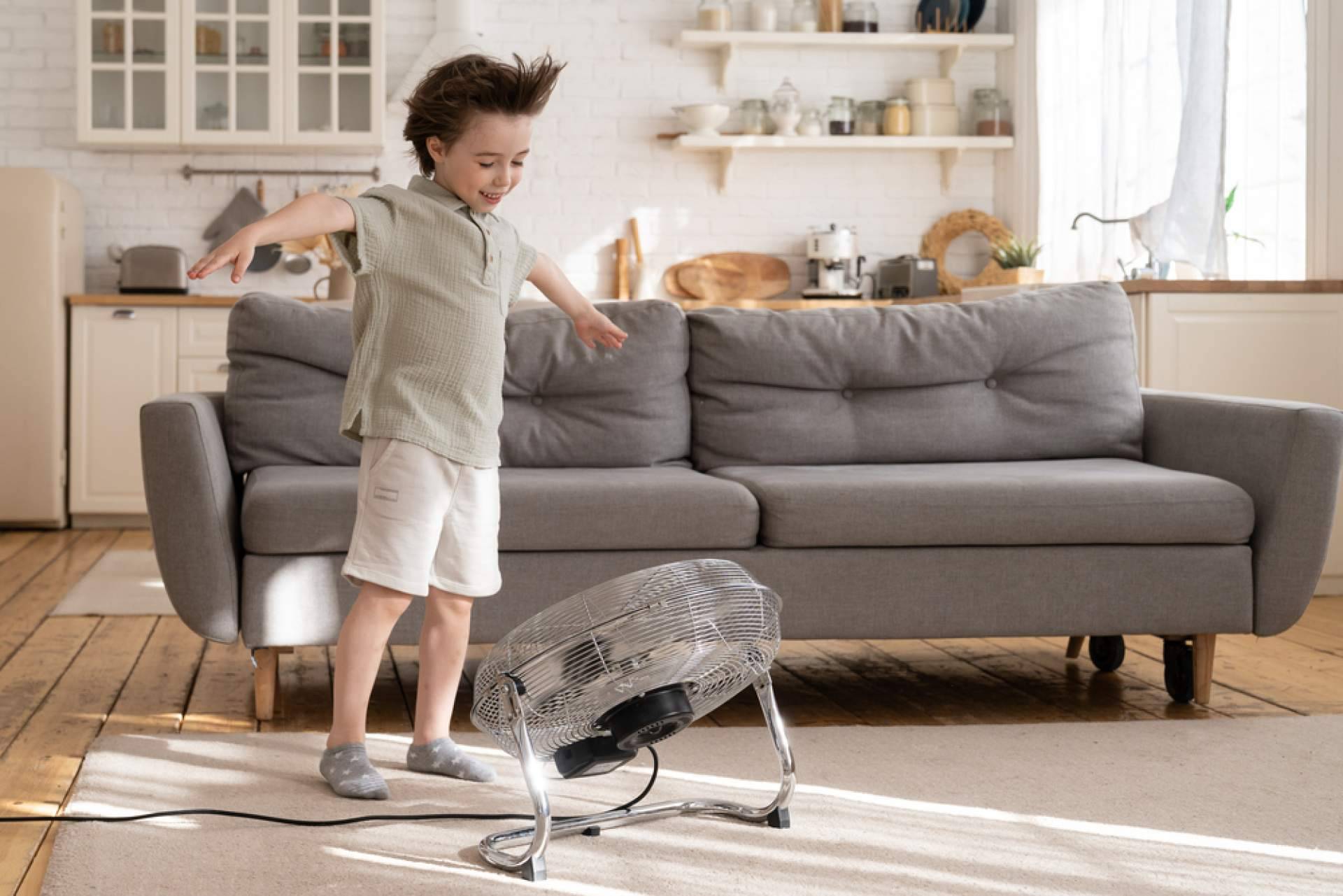 Latiendadeelectricidad.com dispone de un extenso catálogo de ventiladores de techo