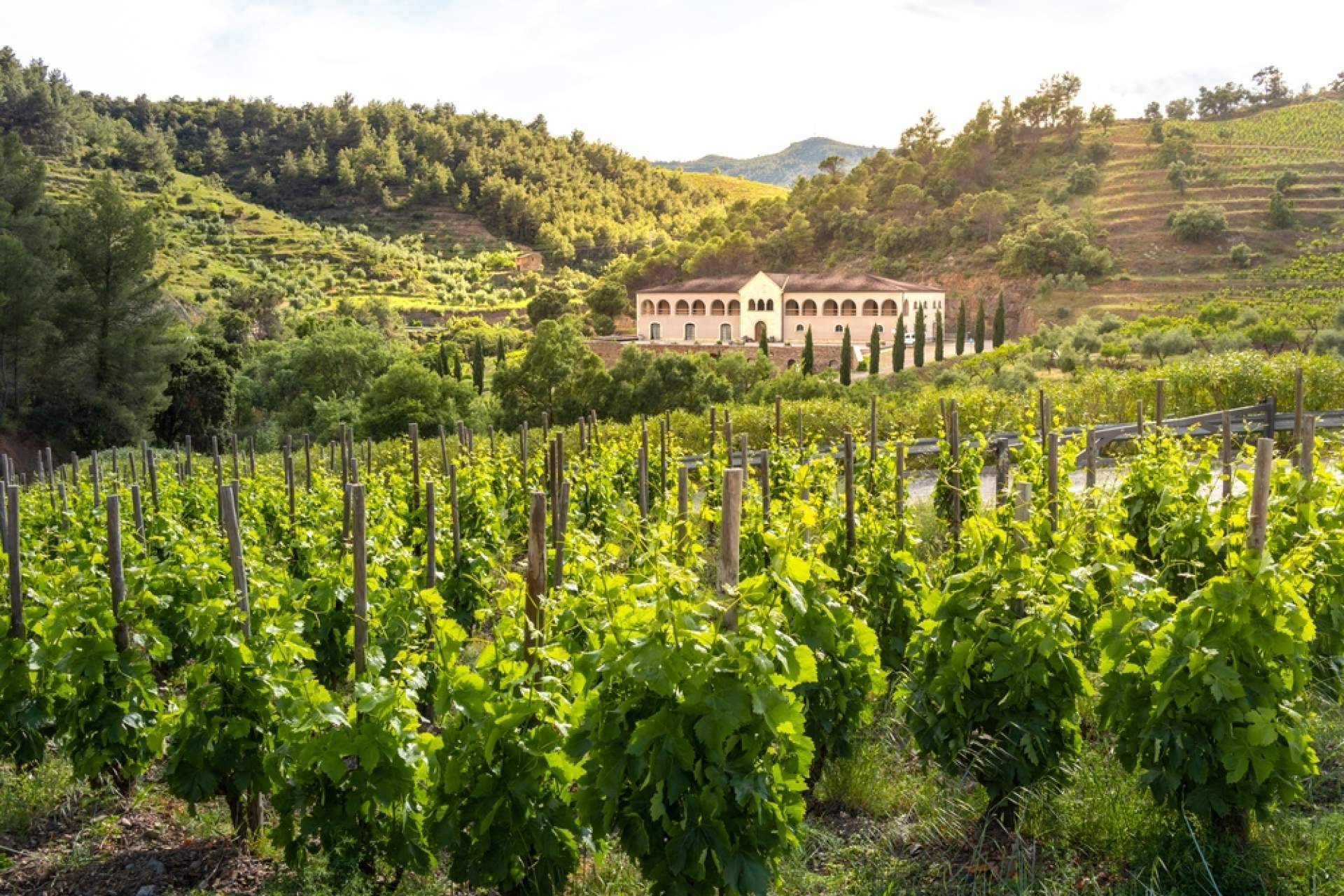 Terra Dominicata permite conectar con la naturaleza del Priorat