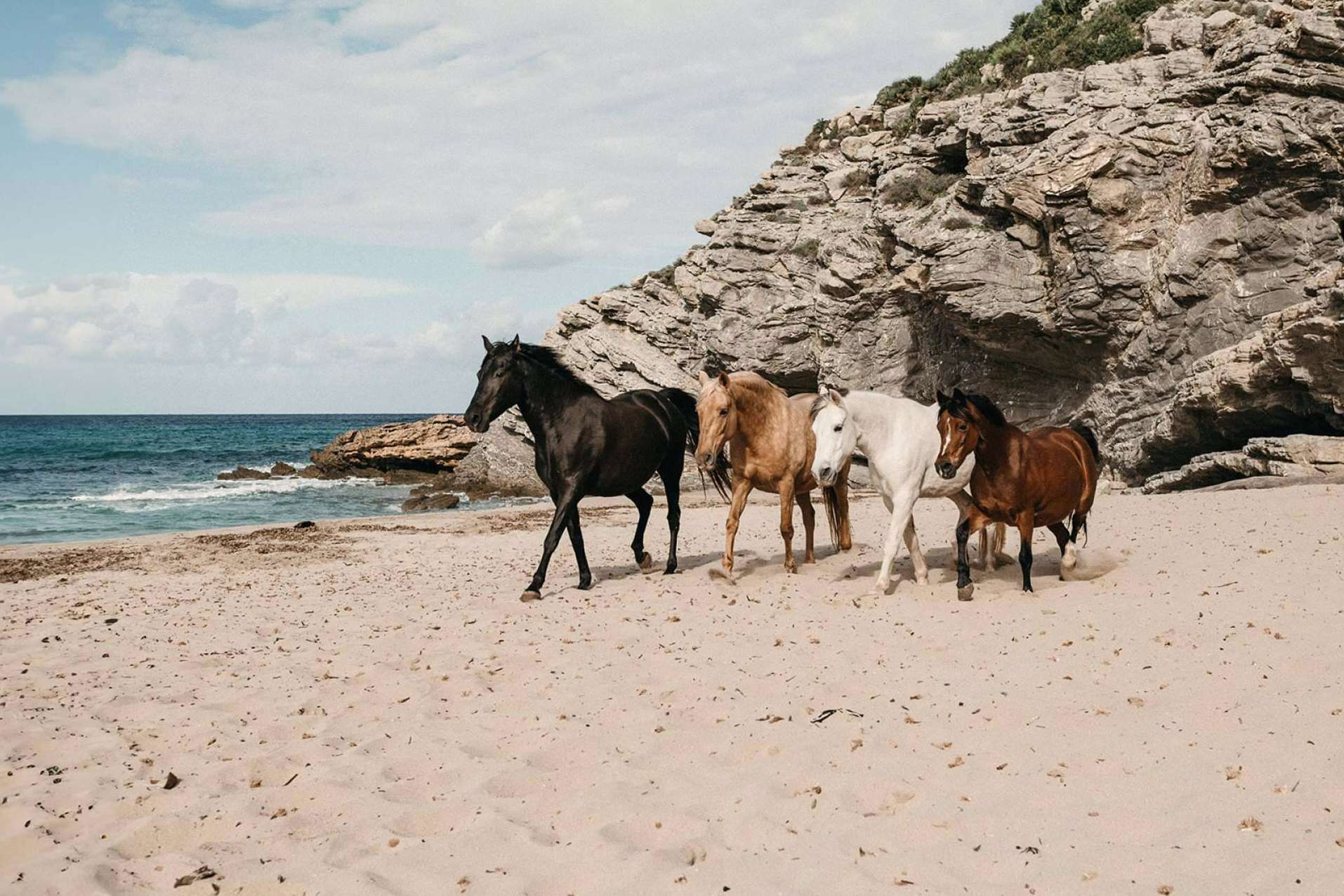 Desarrollo personal a medida, de la mano de Son Cavalls