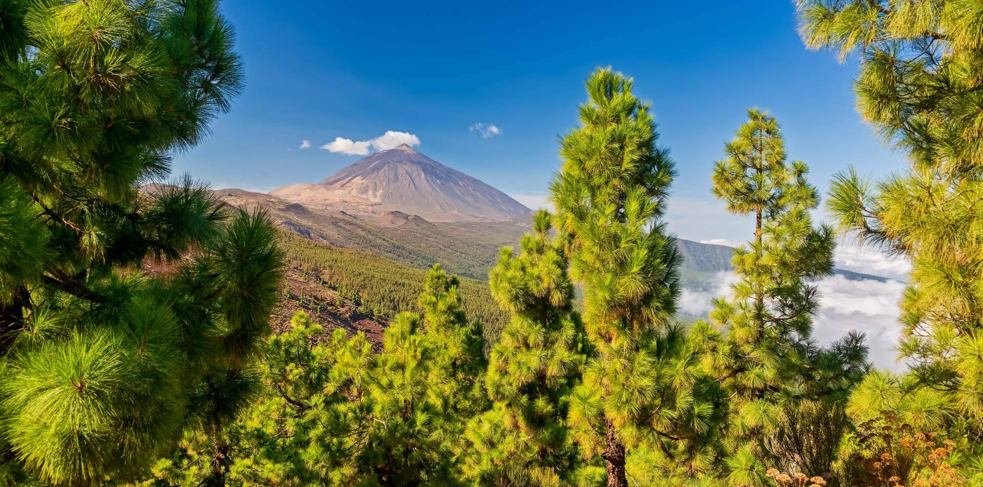 Diversidad y calidad marcan las excursiones Tenerife gestionadas por Canarias.com
