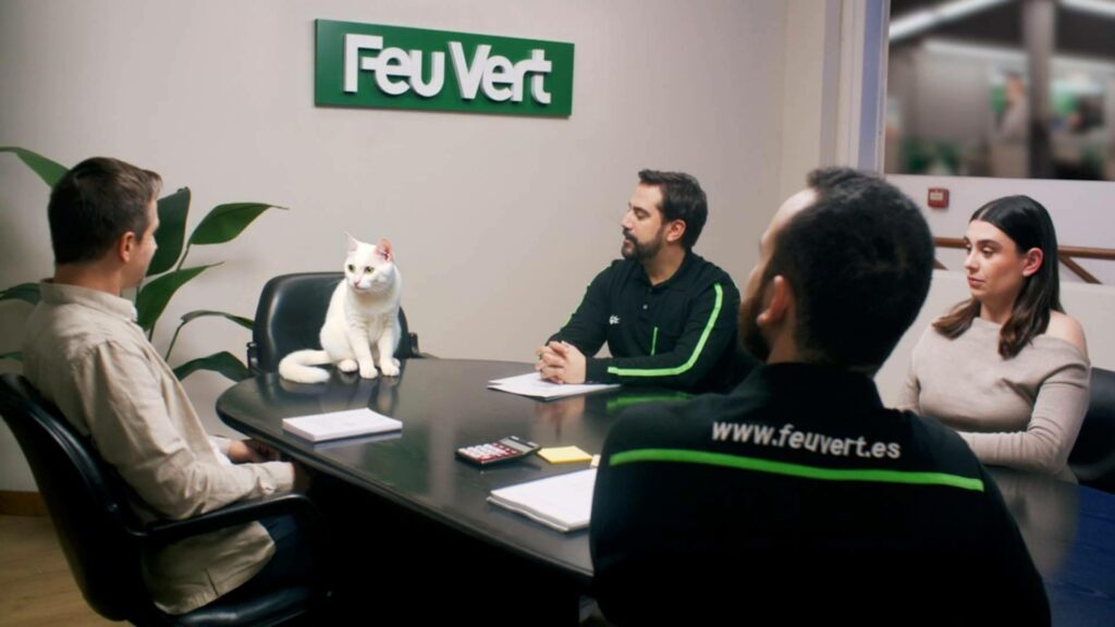 Feu Vert apuesta por el gato Ramsés como identidad de marca también en España